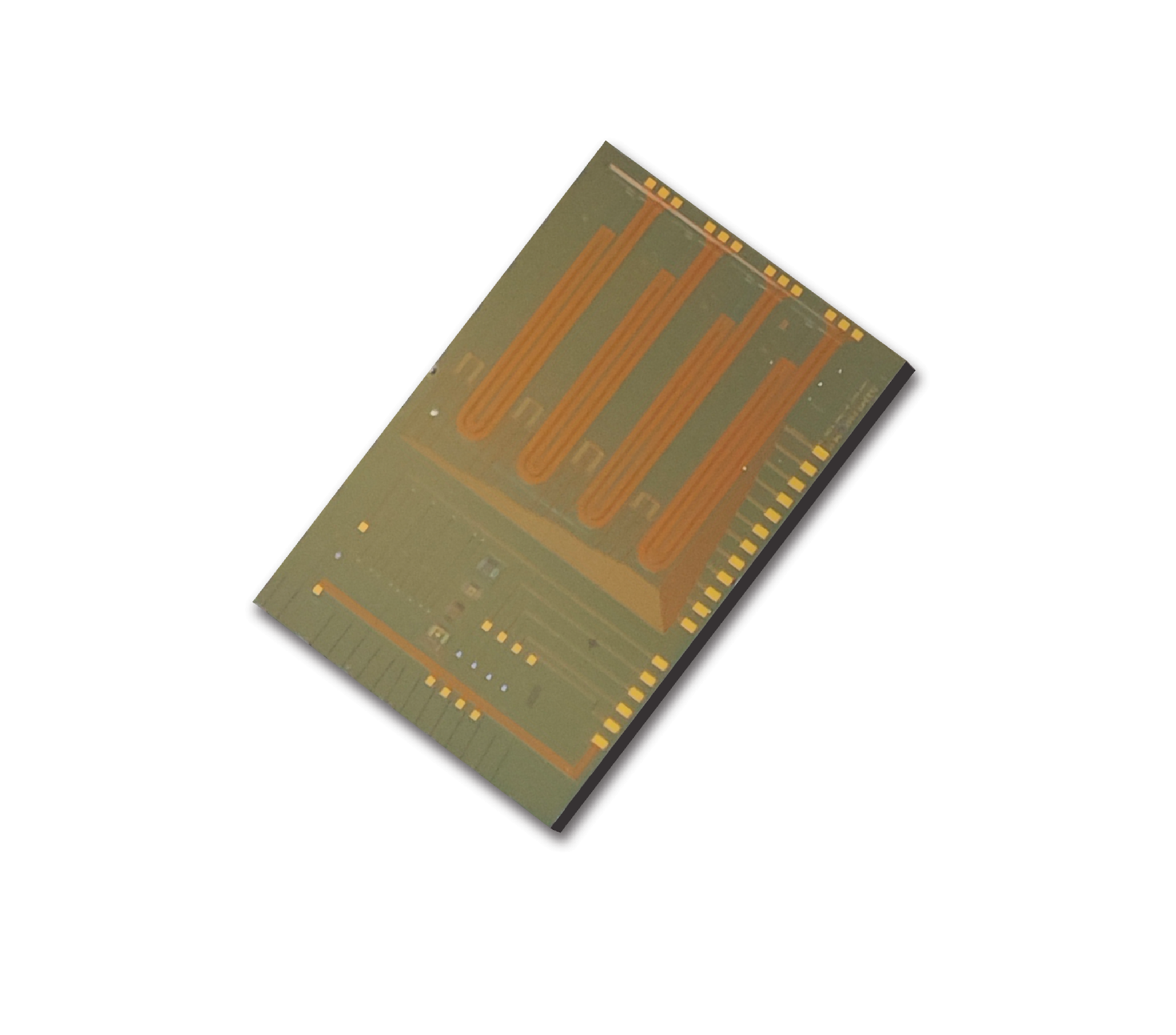 800G(短） - 副本(1).png