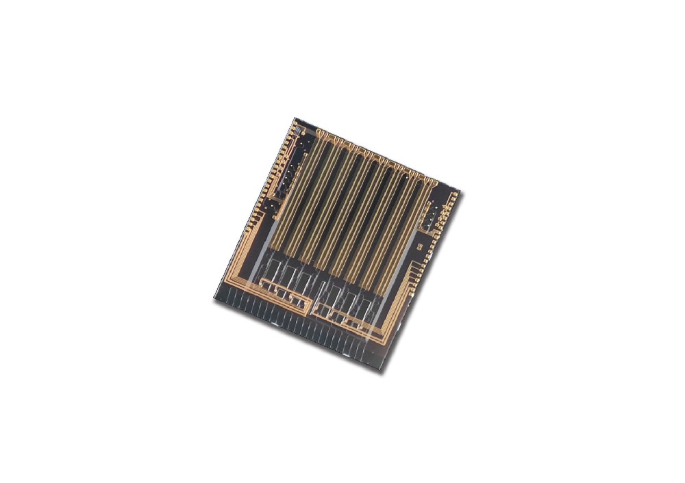 8*200G DR8 Silicon Photonic Chip(1.6T-DR8)